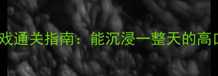 必玩单机游戏通关指南能沉浸一整天的高口碑作品全