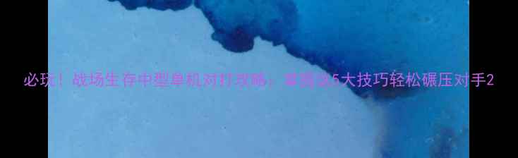 必玩战场生存中型单机对打攻略掌握这5大技巧轻松碾压对手