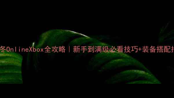 无冬OnlineXbox全攻略新手到满级必看技巧装备搭配指南